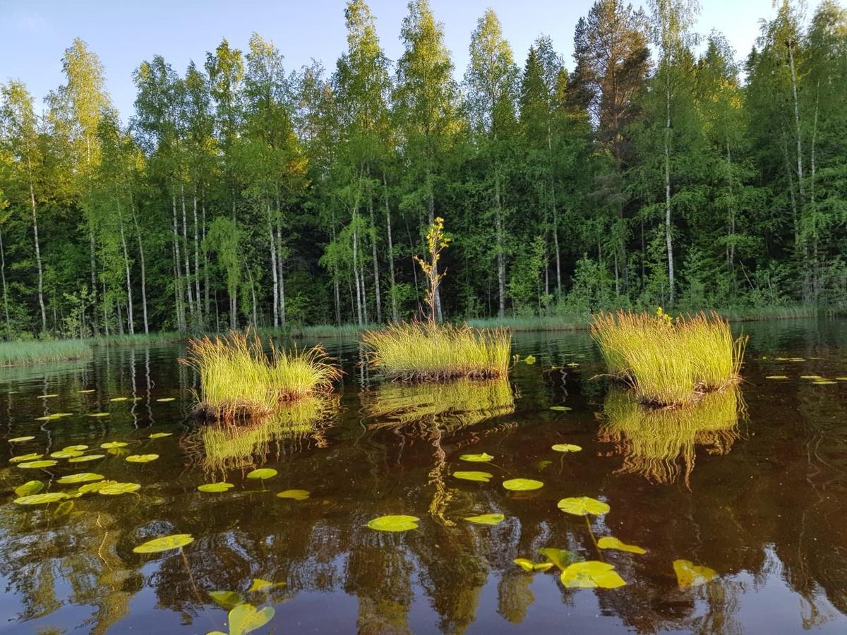 Hotel Niemilomat Varkaus Esterno foto